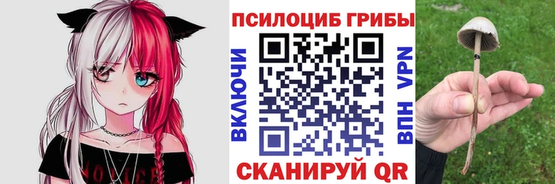 Галлюциногенные грибы Cubensis  Купить где  Новочебоксарск 